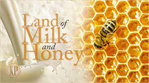 When he arrives with his younger he's written over 30 novels, including books for adults and children. Land Of Milk And Honey Kingdom Preppers
