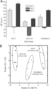  some localized tumors can. Detection And Differentiation Of Normal Cancerous And Metastatic Cells Using Nanoparticle Polymer Sensor Arrays Pnas