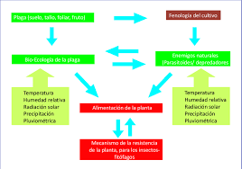 Los ejemplos de componentes bióticos incluyen animales, plantas, hongos y bacterias. Factores Abioticos Y Bioticos Que Influyen En La Alimentacion De Los Download Scientific Diagram
