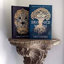Amazon.com: The Drowned Woods: 9780759556317: Lloyd-Jones, Emily: Books