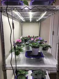 Getting a healthy dose of indirect sunlight is important for photosynthesis and the overall health of the african violet. How To Grow Plants With Led Lights African Violet Light Stand