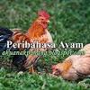 .tunggal 28 angkat bangkul 29 angkat kaki 30 angkat mata 31 angkat muka 32 asam garam 33 atas angin 34 atas pagar 35 ayam tambatan 36 bahasa kesat 37 bahasa pasar 38 balik gagang 39 bangkai bernyawa 40 banyak lemak 41 banyak mulut 42 batu. 1