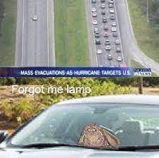 Dopl3r Com Memes Mass Evacuations As Hurricane Targets Us News Forgot Me Lamp