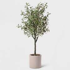 60 Potted Olive Tree Lloyd Hannah Target Potted Olive Tree Faux Olive Tree Faux Tree