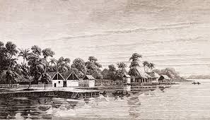 Image result for Stomatostemma monteiroae