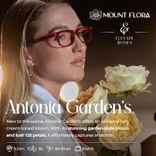 🌹 Discover the Beauty of Mount Flora Roses! 🌹 . At Bill Doran Company,  our Mount Flora Roses are blooming with elegance and unmatched  quality—perfect for creating the stunning floral arrangements our