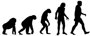 Mendel untersuchte in seinen kreuzungsexperimenten nicht nur das merkmal farbe bei erbsensamen (grün und gelb), sondern auch verschiedene samenformen (rund bzw. Aufgabe Abitur Homo Naledi Der Erste Europaer Q2 Im Neandertalmuseum Dieter Steiner Humanokologie Skripten 199899 Menschwerdung 22 Ryousine
