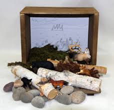 Craft a fun polar shoebox diorama while learning all about arctic and antarctic animals and their natural habitats. Meadow Diorama Create A Scene Habitat Diorama Kit