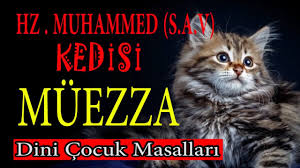 Hz Muhammed S A V Kedisi Muezza Dini Masallar Egitici Masallar Cocuk Masallari Masal Dinle Turkce Youtube