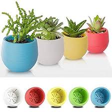 Amazon Com 1pc Creative Plastic Gardening Mini Flower Pots