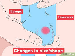 Lumps may be as small as a pea. How To Diagnose Testicular Cancer 15 Steps With Pictures