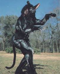 a cat from a japanese show 仮面ライダー 怪人 怪人 仮面ライダーblack