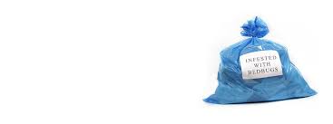 Maybe you would like to learn more about one of these? Alexandria Pest Control Alexandria Pest Exterminator