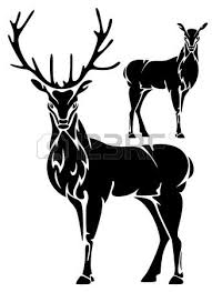 Black And White Deer Vector Standing Deer Black And White Illustration Black And White Illustration Deer Poster Deer