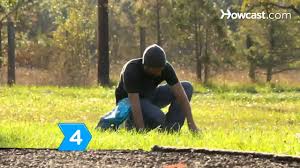 Before you run out to add lime to your beds, it's an excellent idea to test your soil. How To Get Rid Of Moss Youtube