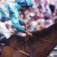 AUSTRALIA DAY HOLIDAY RACEDAY event image