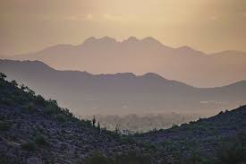 Layers Dreamy Draw Park Phoenix Planting Bulbs Natural Landmarks Succulents