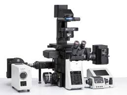 Maybe you would like to learn more about one of these? Consider Camera Stage Height And More When Purchasing An Inverted Microscope Biocompare Editorial Article