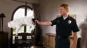 Postal movie with zack ward