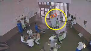 Maybe you would like to learn more about one of these? Fauci Warns That Consequences Could Be Really Serious If States Move Too Quickly To Reopen The Washington Post