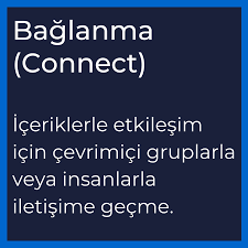Web Okuryazarliginda Baglanma Okankaya Girisimcilik Okuma Dijital Pazarlama Siyasi Parti