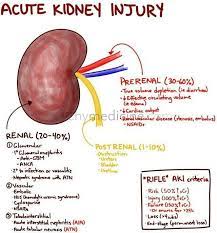 Pin On Blood Pressure Remedies