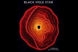 新種の天体「ブラックホール星」、ウェッブ宇宙望遠鏡の観測で ...