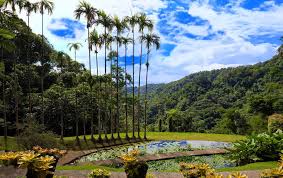 Excursions to escape all sign of civilization.martinique, however, is not only an island for nature lovers. Karibisches Inselparadies Martinique Urlaubsguru