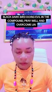 THE EVIL DARK BIRD 🐦‍⬛