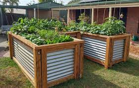 The main reason they are so popular is due to space saving benefit. Top 10 Most Popular Raised Garden Beds Bunnings Workshop Community