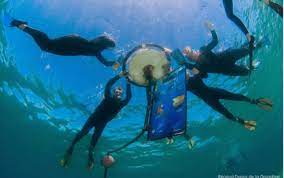 Près des falaises volcaniques uniques du cap d'agde, dans un site au label européen natura 2000 et dans seulement quelques mètres d'eau, glissez vous dans la peau d'un poisson …, plongez le long des cinq bouées stations, admirez, palmez avec vos le sentier sous marin. Le Sentier Sous Marin Le Cap D Agde Cap D Agde Mediterranee