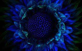 Just download to your pc, add to a usb, press play then select repeat. Screensaver Wallpapers Backgrounds Free Screensavers 1920x1200 Wallpaper Teahub Io