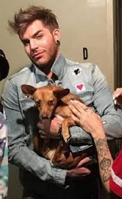 Adam Lambert With Pharaoh Adam Lambert Daddy Man And Dog