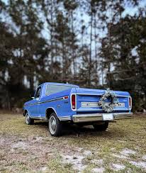 Image result for Blue 1960 Petit Truck
