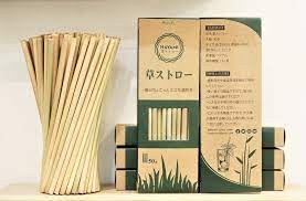 19歳農大生が 草ストロー ブランドを立ち上げ 毎日の小さな選択が世界を変える sustainable brands japan プラ プラスチック 持続可能性