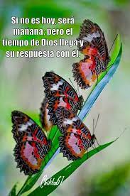 Pin De Roseblack En Pensamientos Cristianos Caras Felices Mariposas Frases De Sentimientos