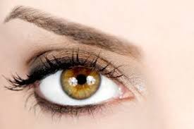 Bronze Makeup For Amber Eyes Black Eye Makeup Hazel Eye Makeup Amber Eyes