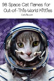 98 Space Cat Names Cat Names Girl Cat Names Space Cat