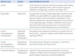 Spring (tfst) on db/db mice, and to study its mechanism of action. Endocrine Pancreas And Pharmacotherapy Of Diabetes Mellitus And Hypoglycemia Basicmedical Key