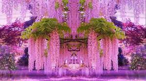 The color wisteria is displayed at right. Magnificent Colors Of Wisteria Hd1080p Youtube