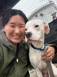 Hi! I'm new to this group. I recently joined because I like to keep up with  Aloka the Peace Dog and Walk for Peace