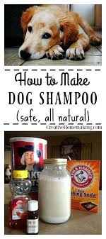 Homemade Dog Shampoo Goruntuler Ile Doga