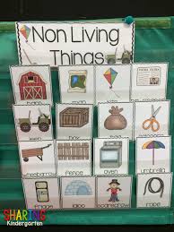 Print Play With Living And Non Living Things Sharing
