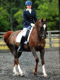 Cdcta is an affiliated combined training association, a usdf gmo, and a 501(c)(3) not for profit corporation, organizes two usea horse trials per year, one spring and one fall. Arabians In The Dressage Arenas An Interview With Maria Pook The Arabian Magazine