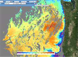 Reading Sst Charts For Pacific Nw Tuna