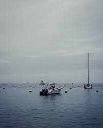 devin gerlach (@devingerlach) • Instagram photos and videos