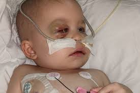 Fundraiser for Jamie Ketcher by Sarah Hoffman : Dominic Martinez