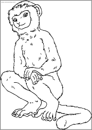 Search through 623,989 free printable colorings at getcolorings. Cute Ring Tailed Lemur Coloring Page Coloringbay