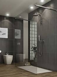 Double sliding bypass configuration allows entry to the shower from left or right side; Modern Shower Stall Design Ideas Novocom Top