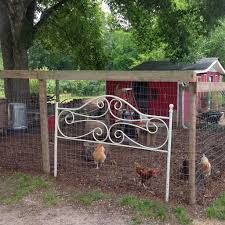 We did not find results for: What Is The Best Location For My Chicken Coop My Pet Chicken
